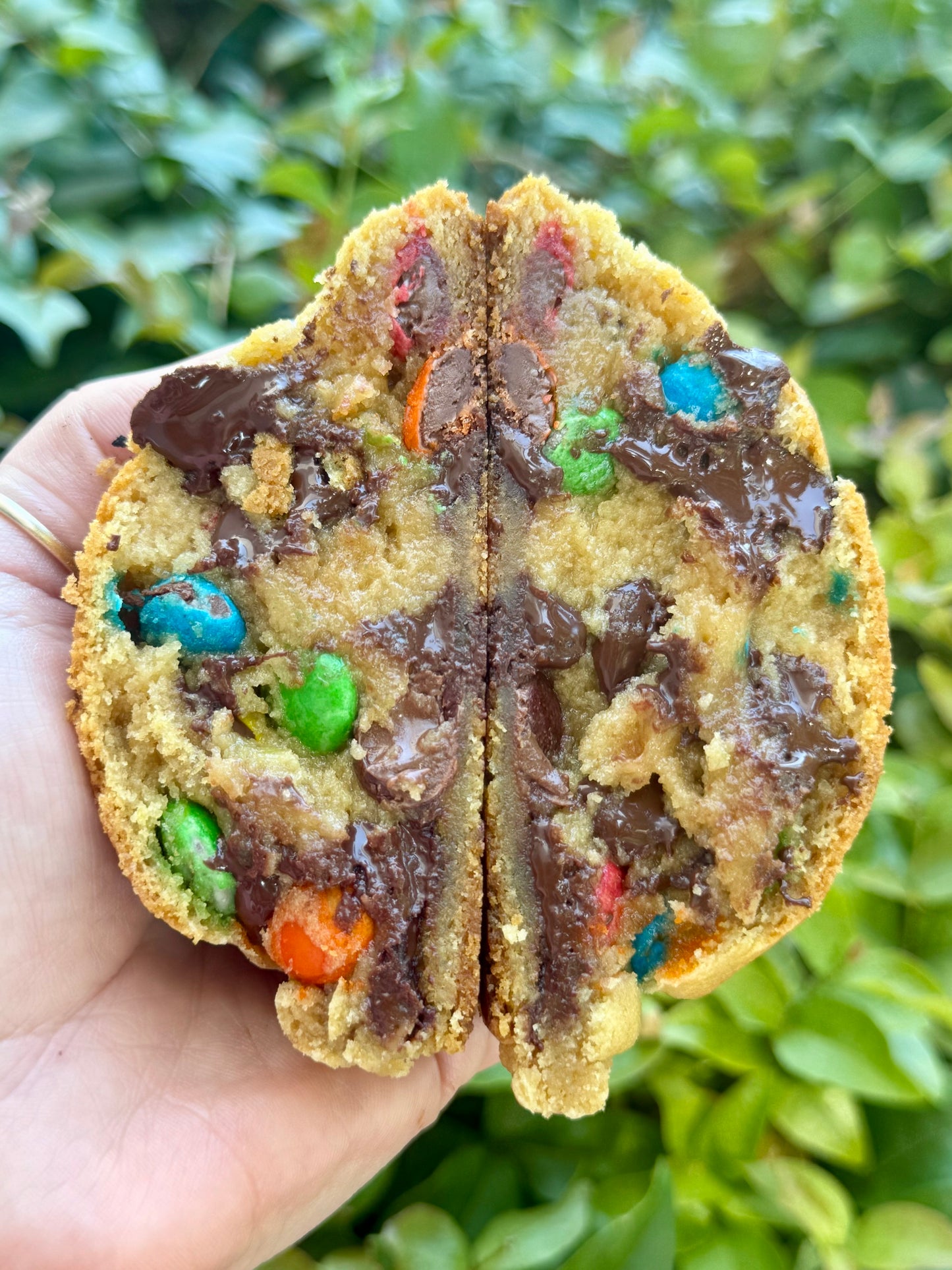 M&M